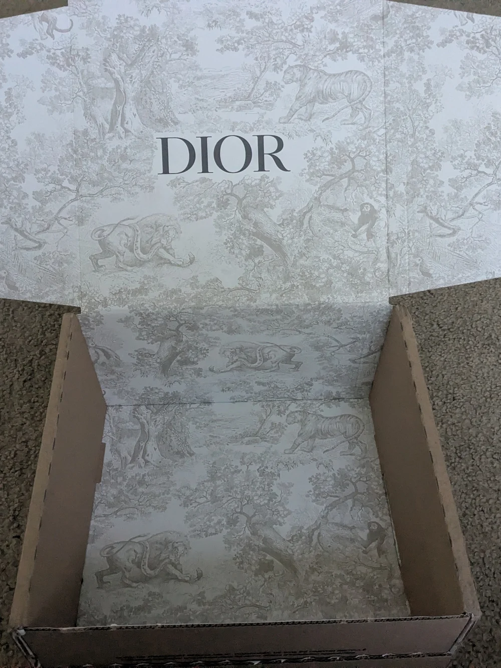 Dior Decorative Packaging Box - Neutral Toile Print